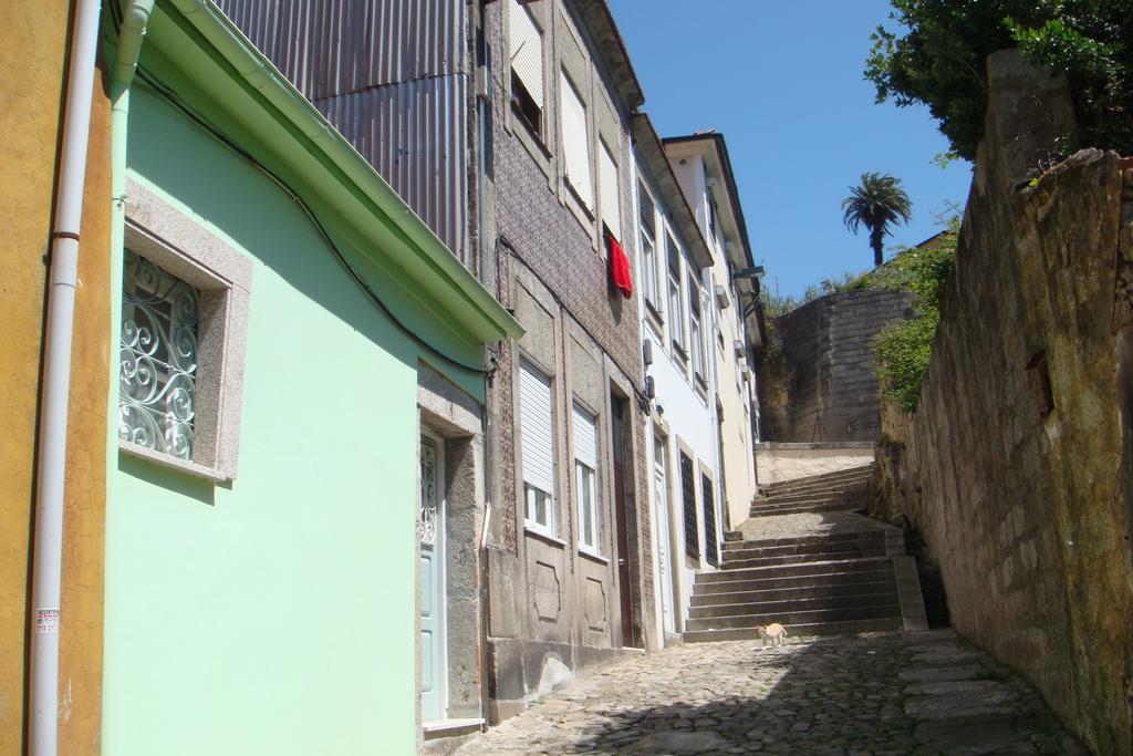 Green House OOporto Rum bild